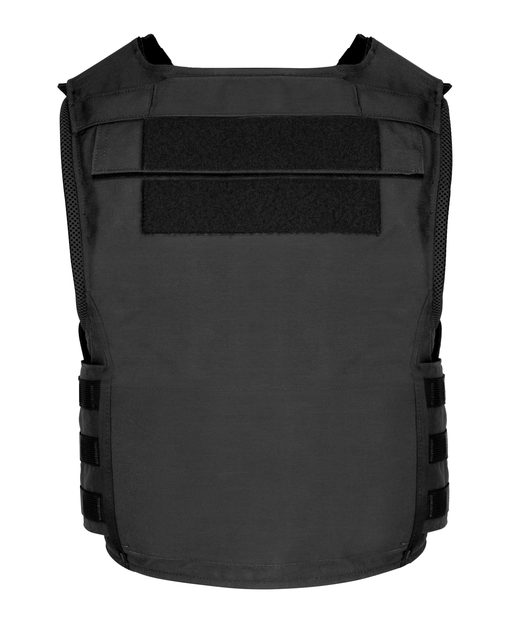 Bothell Overt Carrier - Image 3
